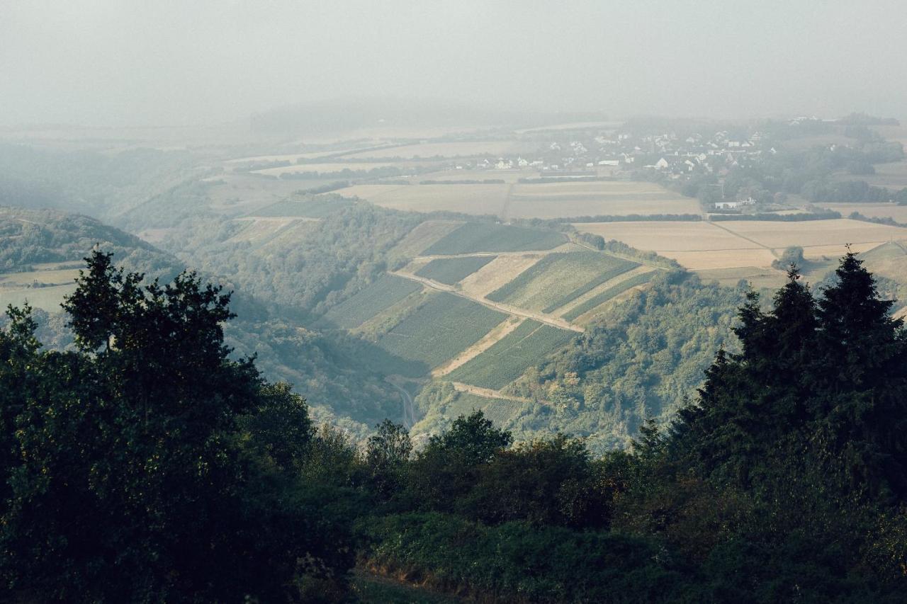 Fetz Das Loreley Hotel Dorscheid 外观 照片